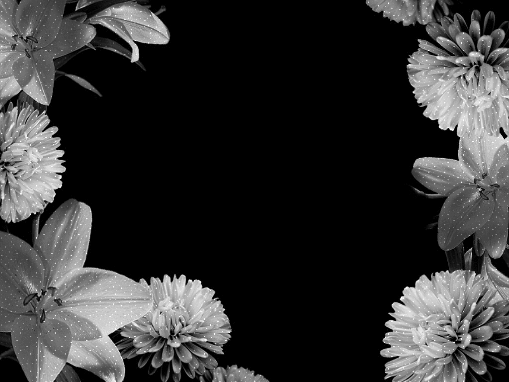 Fondo De Pantalla De Flores Blanco Y Negro Para La Foto De Stock De Flores  Móviles. Imagen de archivo - Imagen de fondo, adornado: 220936381