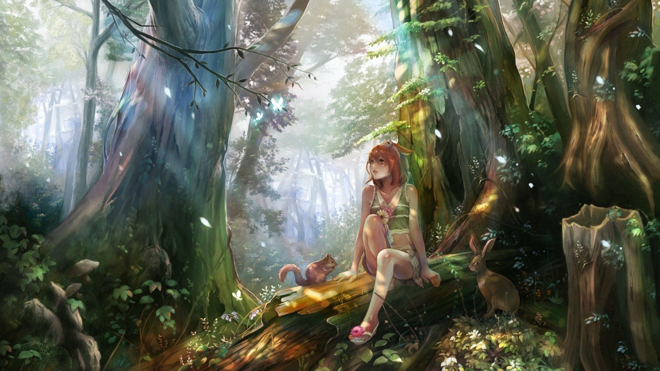 2560x1440 Descargar 2560x1440 Paisaje De Anime Niña Bosque árboles De Chica Bosque Para 