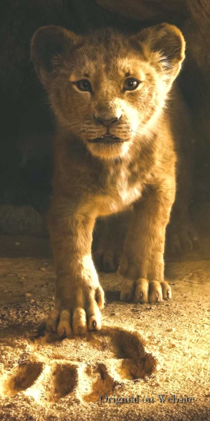 7x1440 O Rei Leao Papel De Parede The Lion King 19 Wallpaper De El Rey Leon 19 Peliculas Todo Fondos